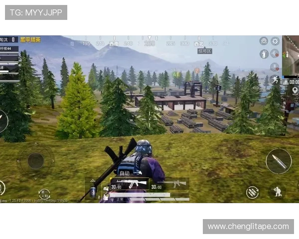 李秀英的和平精英人生:深度对话探索游戏背后的故事与人生哲学